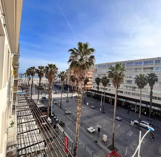 Grand Appartement Lumineux